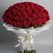 Букет 101 Красная роза Блэк Мэджик в Дорохово