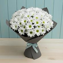 Букет цветов из:  Хризантемы в Дорохово