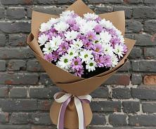 Букет цветов из:  Хризантемы #REPLACE_PRED# Дорохово