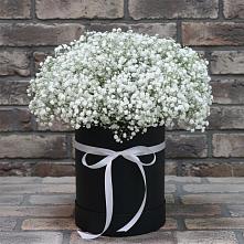 Цветочная композиция из Гипсофила в шляпной коробке в Дорохово